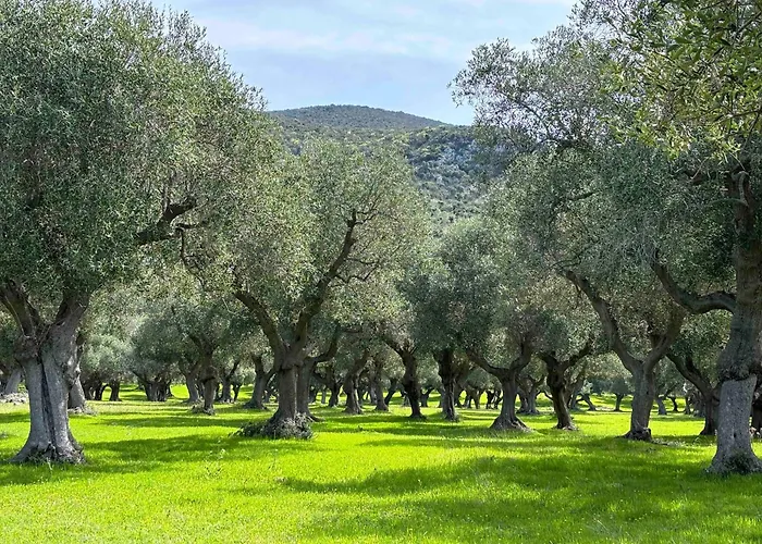La Cianella
